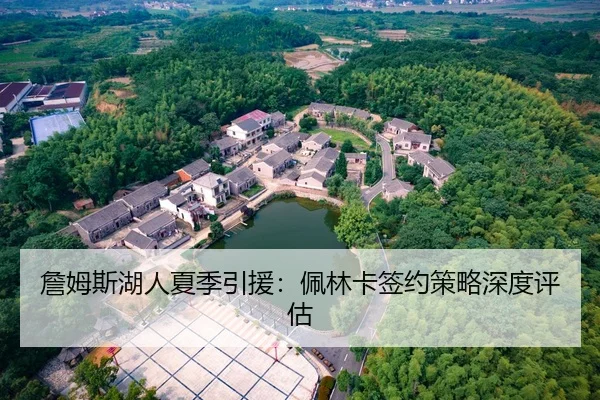 詹姆斯湖人夏季引援：佩林卡签约策略深度评估